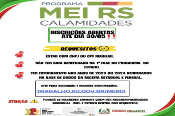 PROGRAMA MEI RS