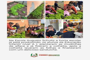 ESCOLA AUGUSTO SCHULTZ