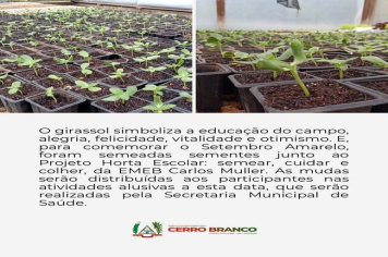 PROJETO HORTA ESCOLAR