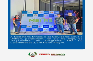 PROGRAMA MEI RS