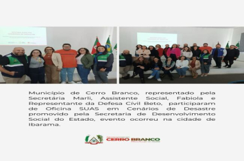 OFICINA DO SUAS