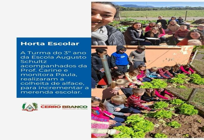 HORTA ESCOLAR