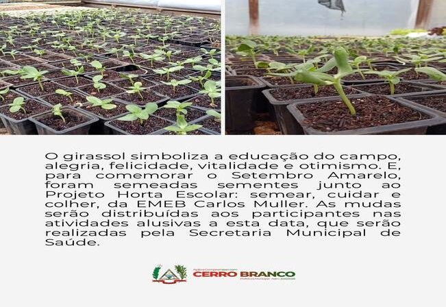PROJETO HORTA ESCOLAR